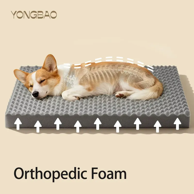 Factory Wholesale Luxury Cute  - Tech Accessories Wholesale 评论和价格